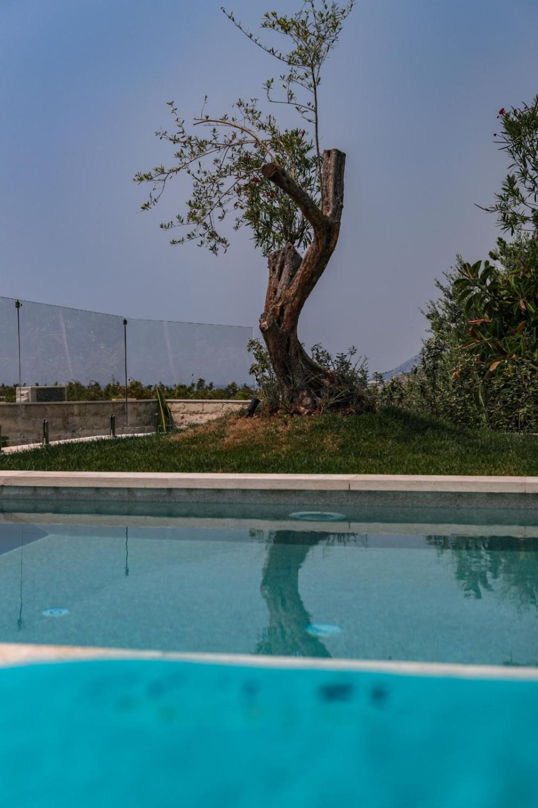 Drymades Inn Resort Dhërmi Exterior foto